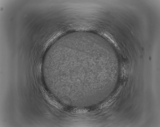 X0000087690491200705181758