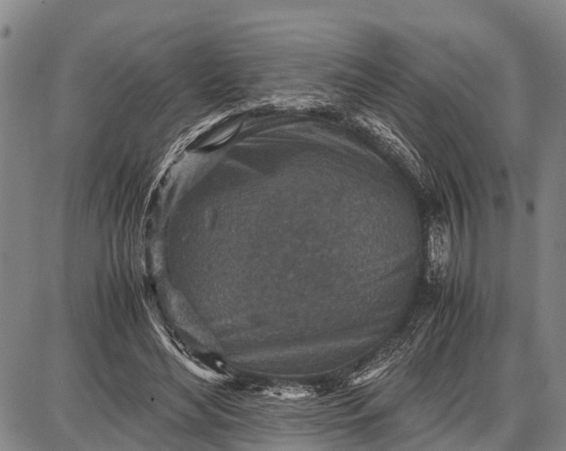 X0000087690492200705181758