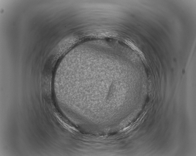 X0000087690493200705181758