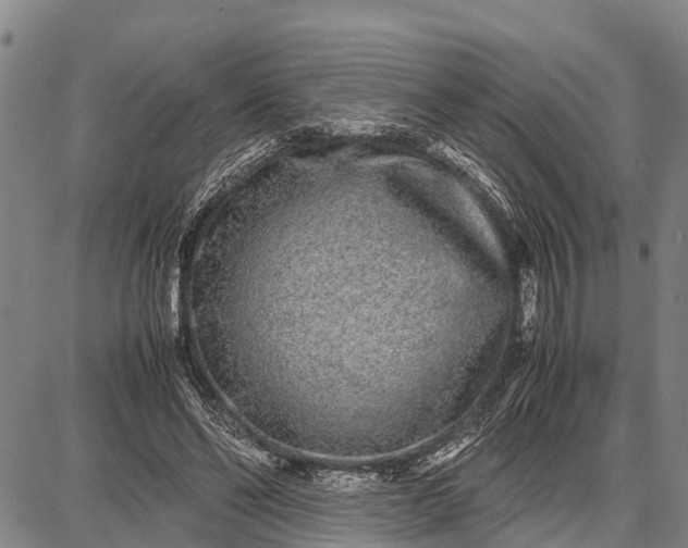 X0000087690494200705181758