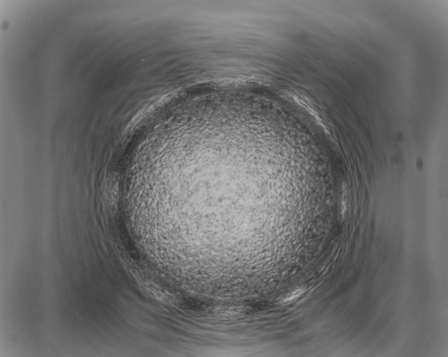 X0000087690495200705181758