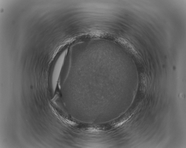 X0000087690496200705181758