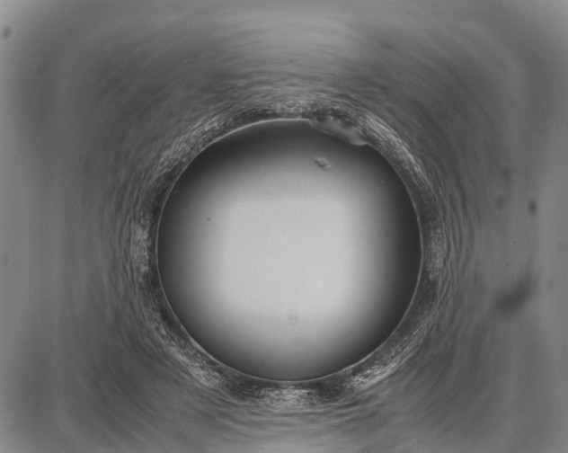 X0000087690497200705181758