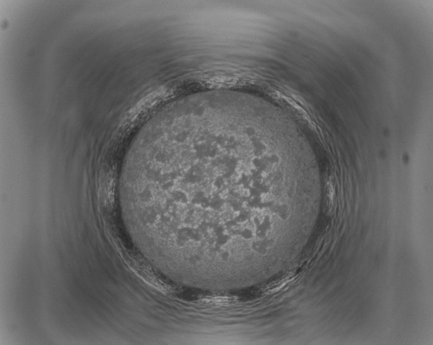 X0000087690499200705181758