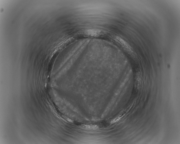 X0000087690500200705181758