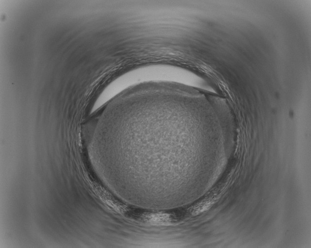 X0000087690501200705181758