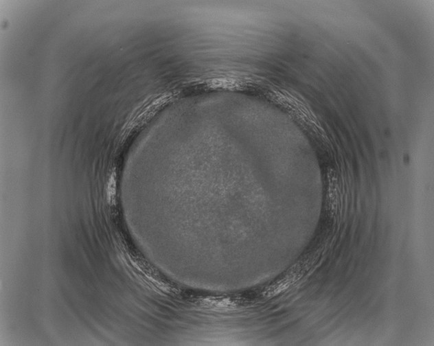 X0000087690502200705181758