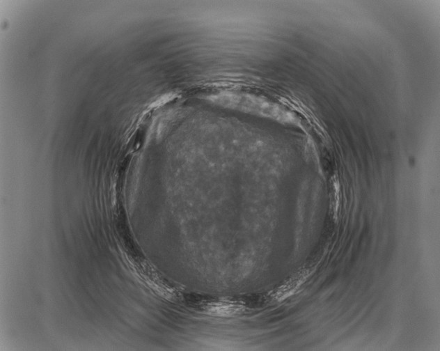 X0000087690504200705181758