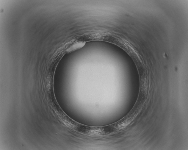 X0000087690505200705181758