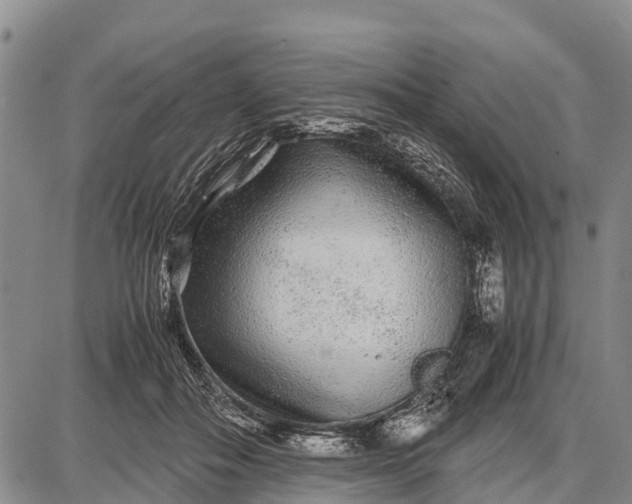 X0000087690506200705181758