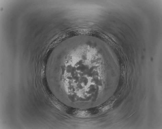 X0000087690507200705181758