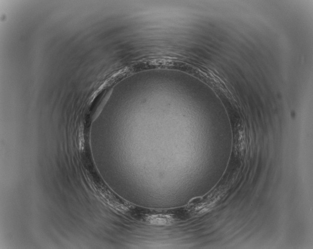 X0000087690508200705181758