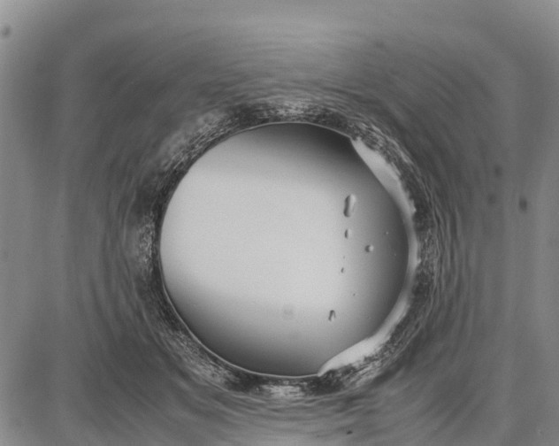 X0000087690509200705181758