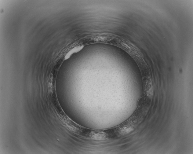 X0000087690510200705181758