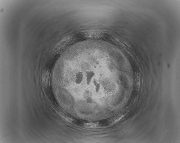 X0000087690511200705181758