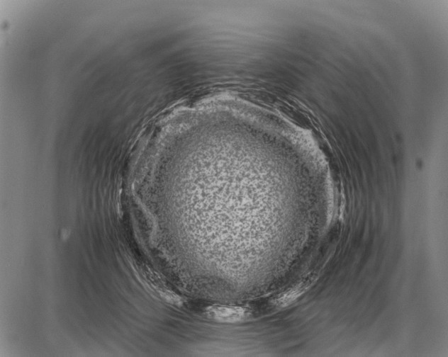 X0000087690512200705181758