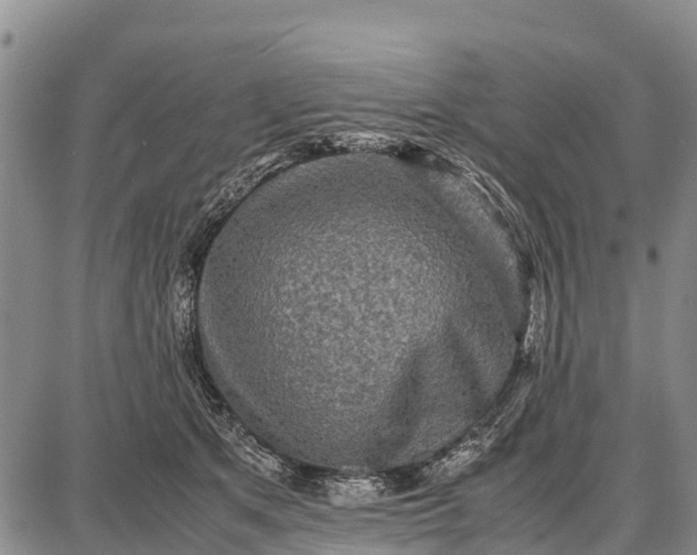 X0000087690513200705181758