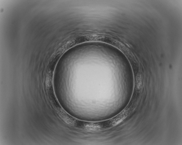 X0000087690515200705181758