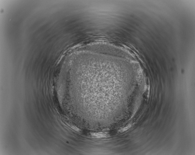 X0000087690516200705181758