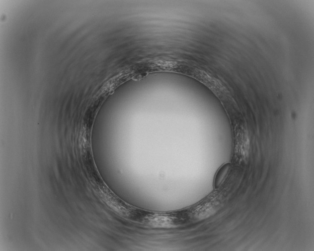 X0000087690518200705181758