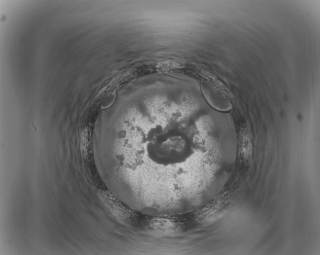 X0000087690519200705181758