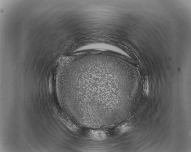 X0000087690520200705181758