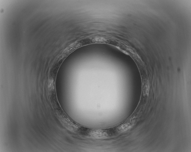 X0000087690521200705181758