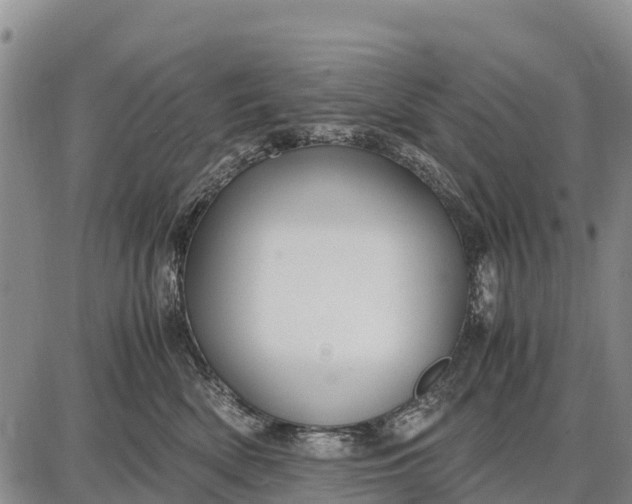 X0000087690522200705181758