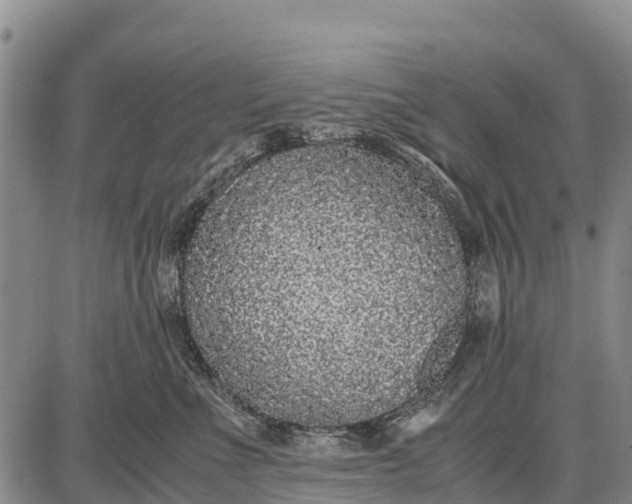 X0000087690523200705181758