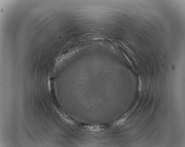 X0000087690524200705181758