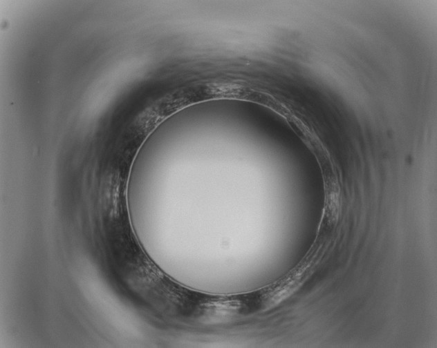 X0000087690525200705181758