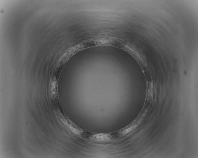 X0000087690526200705181758