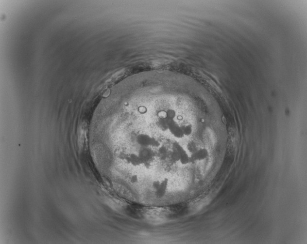 X0000087690527200705181758