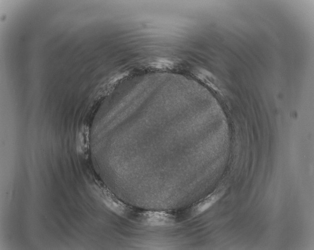 X0000087690528200705181758