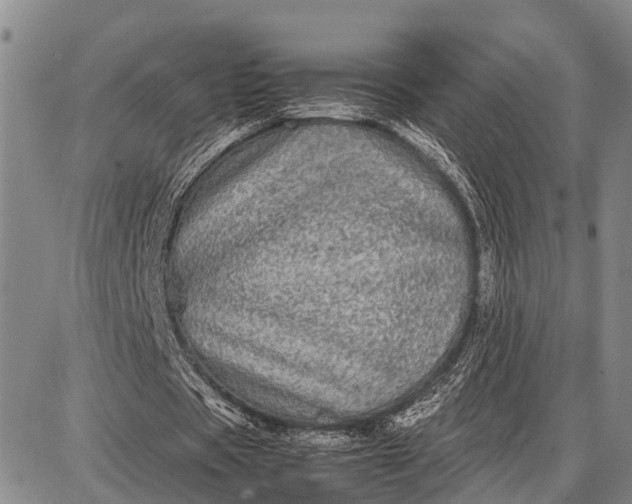 X0000087690529200705181757