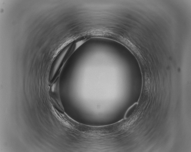 X0000087690530200705181757