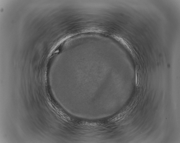 X0000087690531200705181757