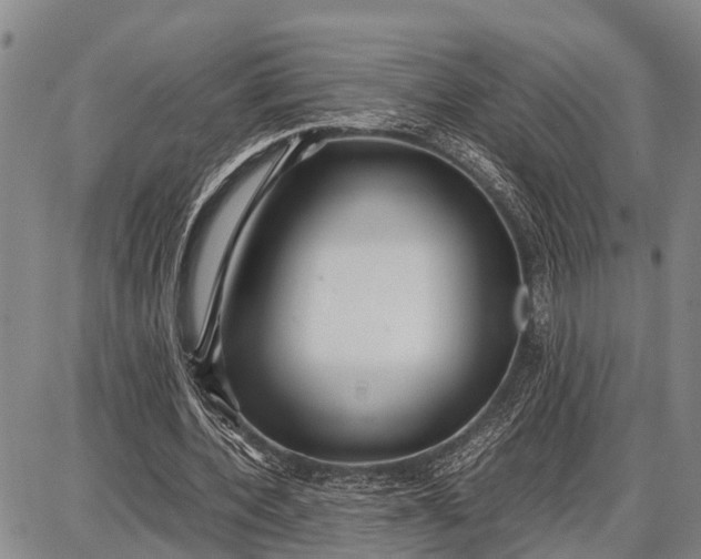 X0000087690532200705181757