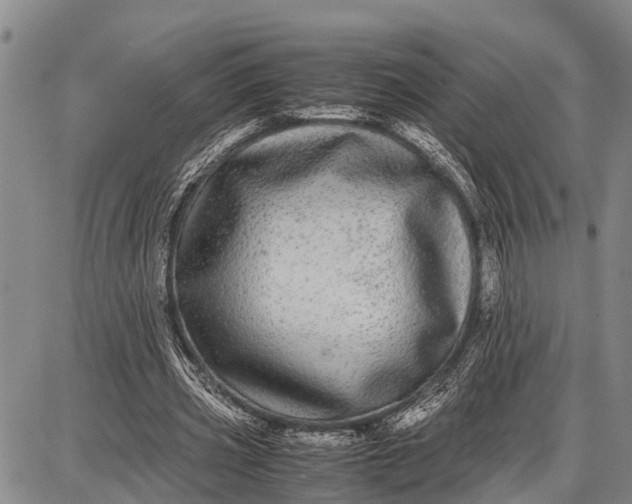 X0000087690533200705181757