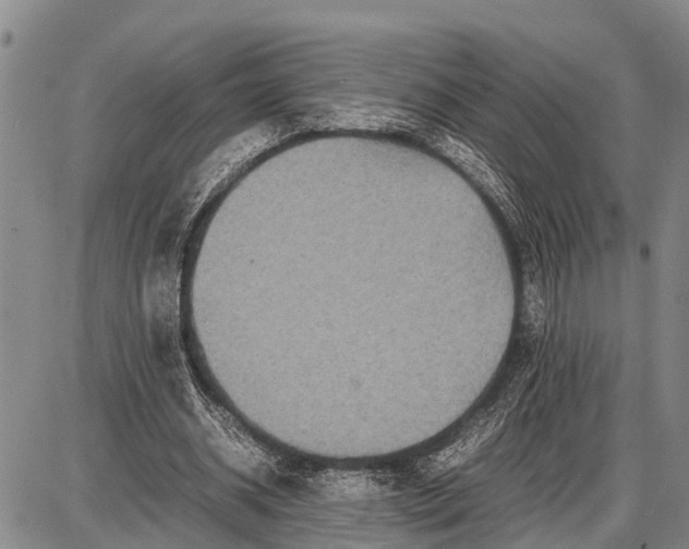 X0000087690534200705181757