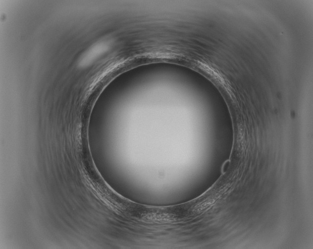 X0000087690535200705181757