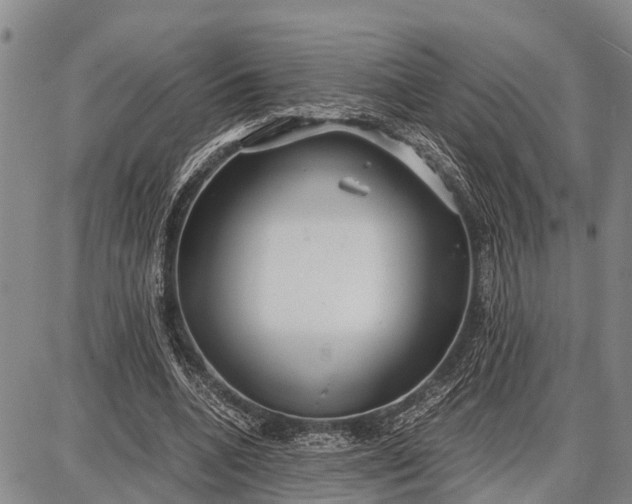 X0000087690536200705181757