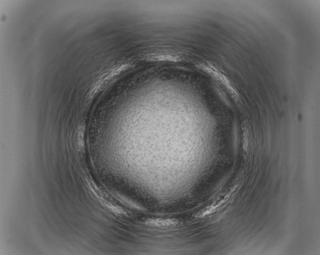 X0000087690537200705181757