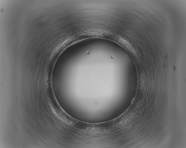 X0000087690538200705181757