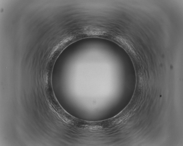 X0000087690539200705181757