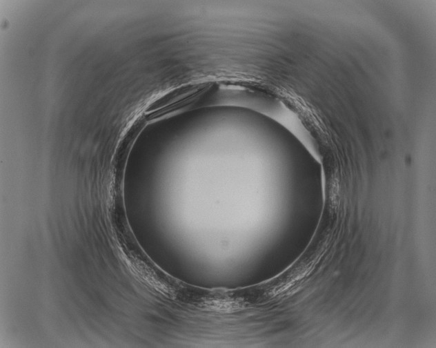 X0000087690540200705181757