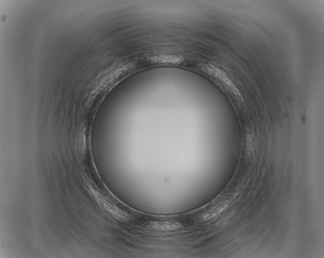 X0000087690541200705181757