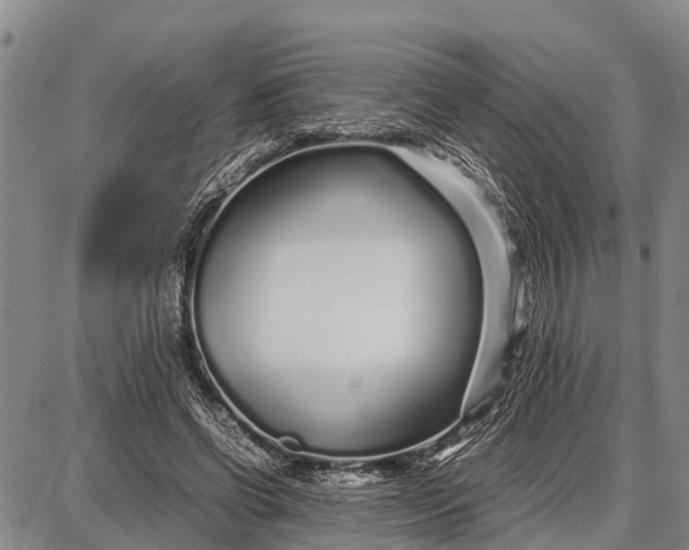 X0000087690542200705181757