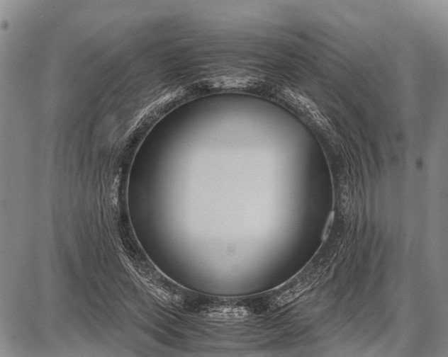 X0000087690543200705181757