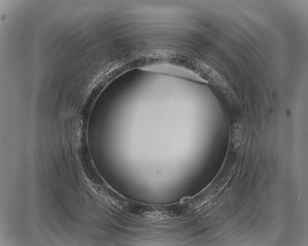 X0000087690544200705181757